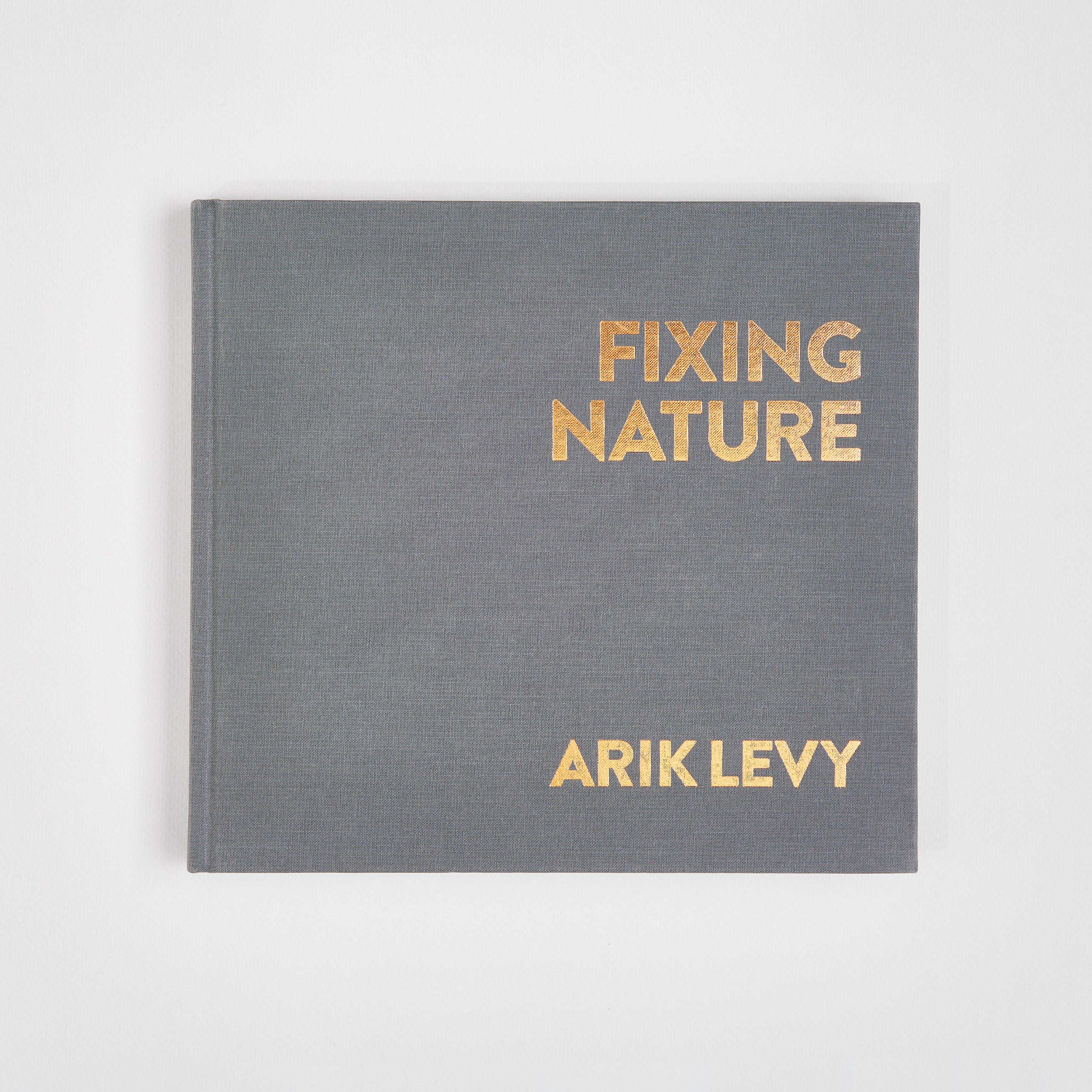 Fixing Nature
